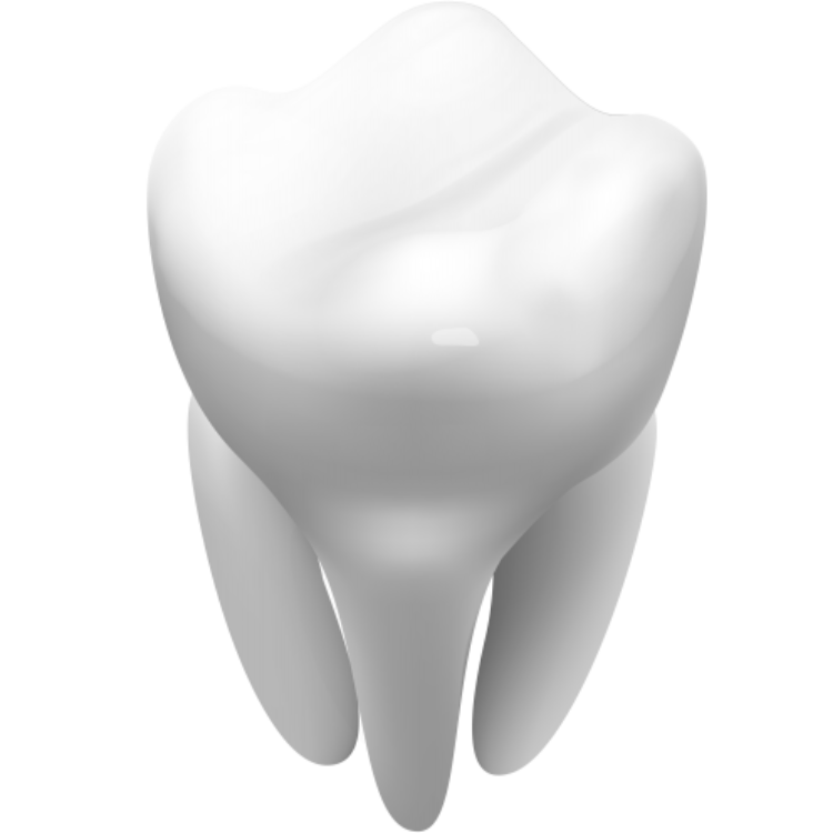 servicii stomatologice